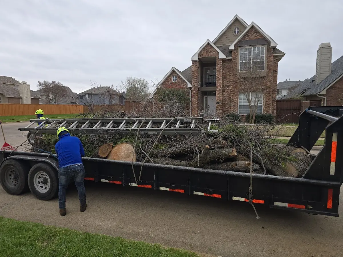 Expert Lot Clearing with proper safety equipment in Sandwich